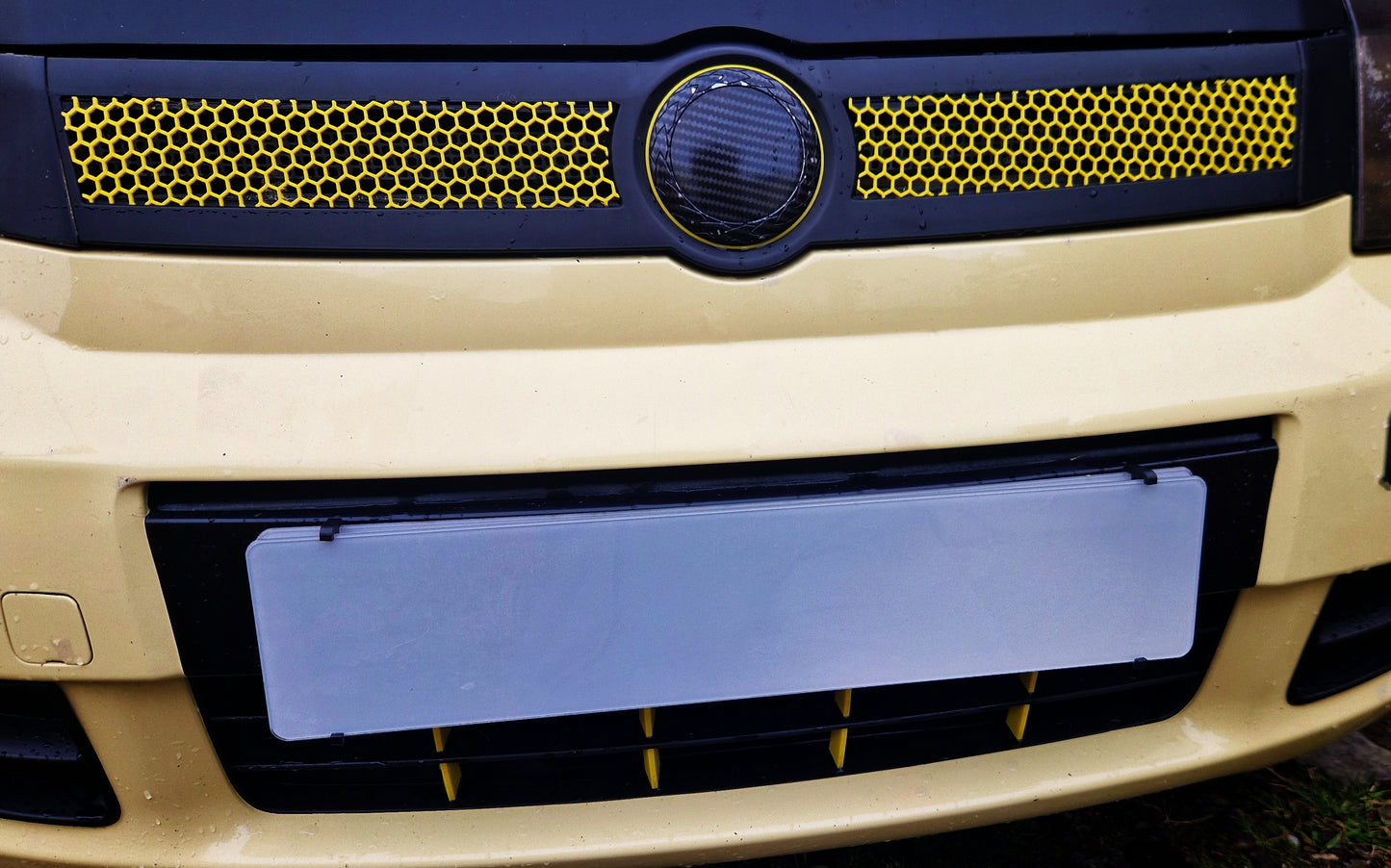 Show plate holders