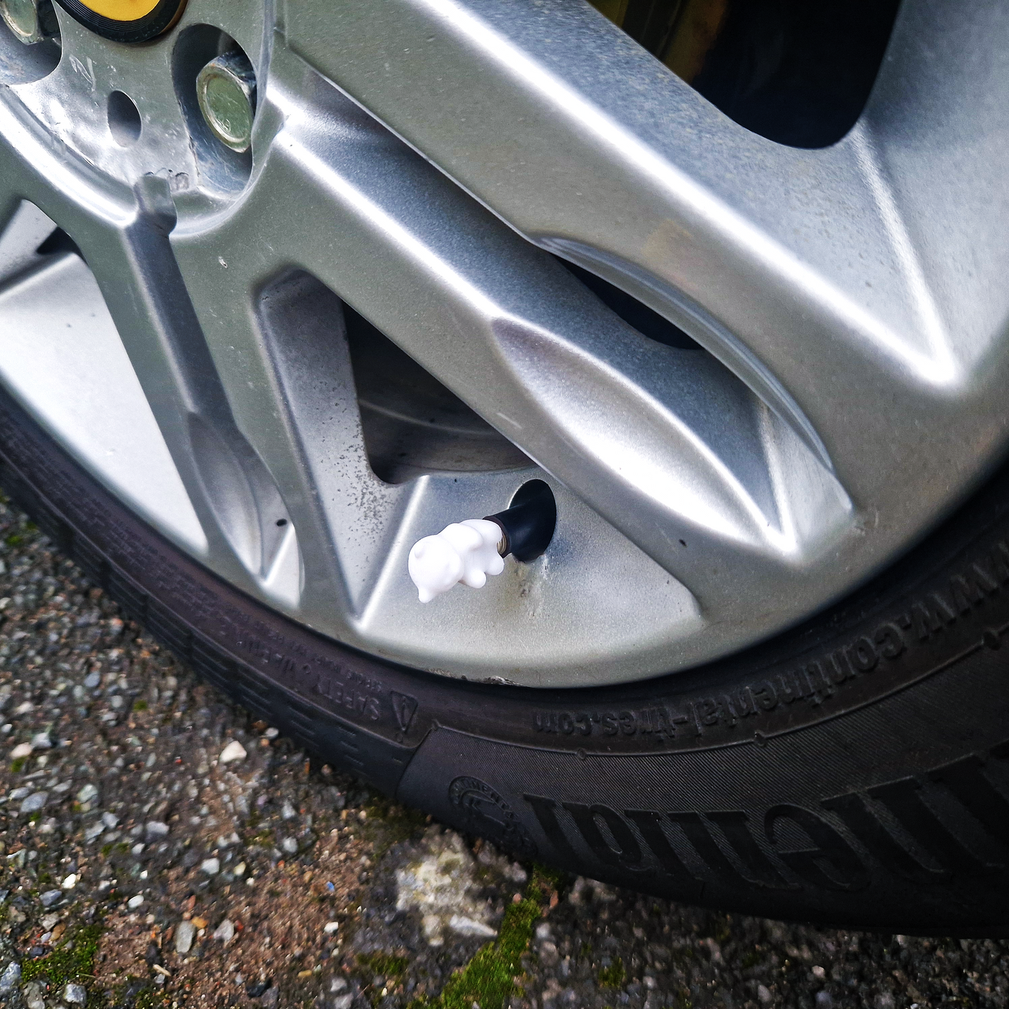 Valve Caps - Baby Bears