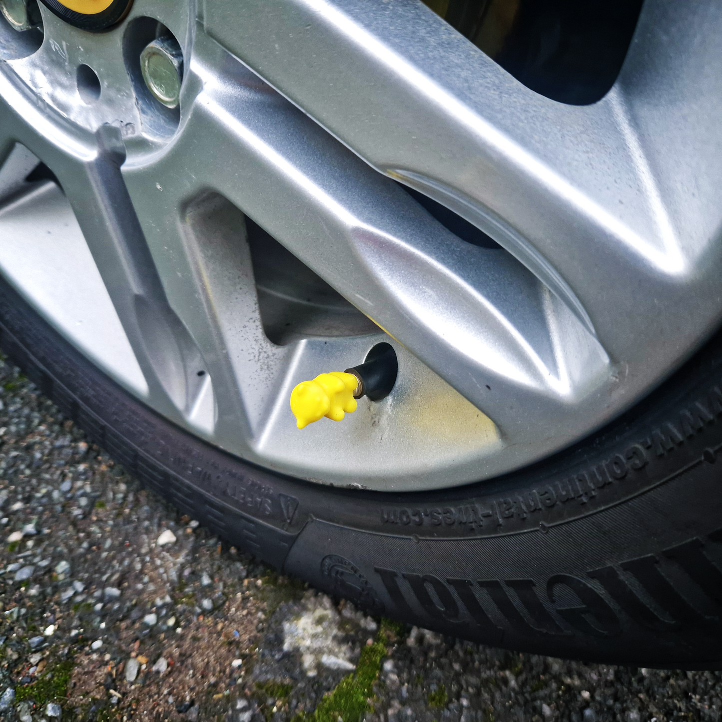 Valve Caps - Baby Bears