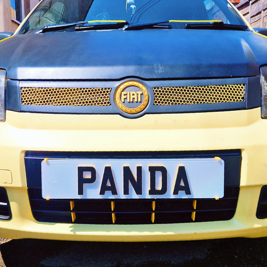 FIAT PANDA 169 Grille clip on's