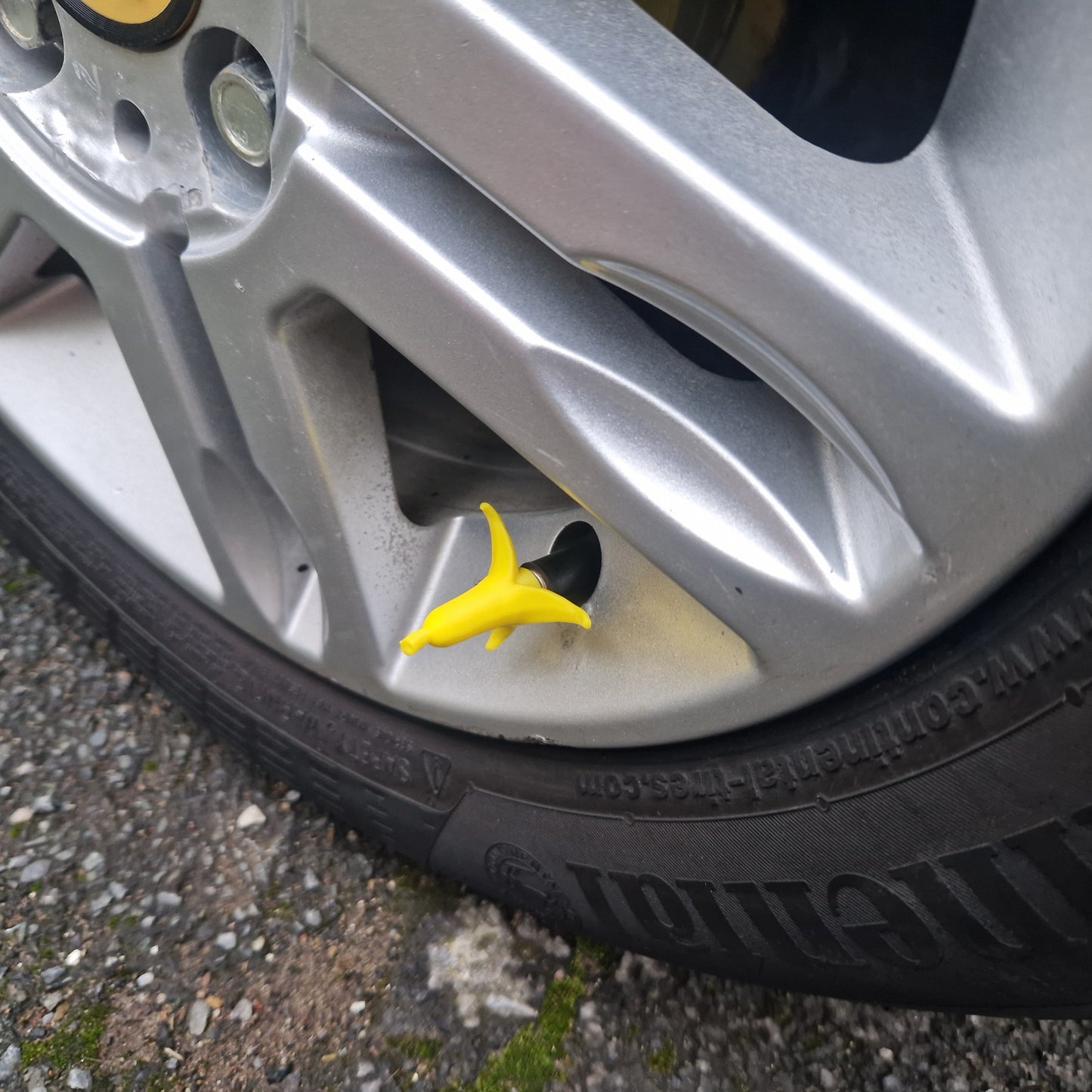 Valve Caps - Banana skins