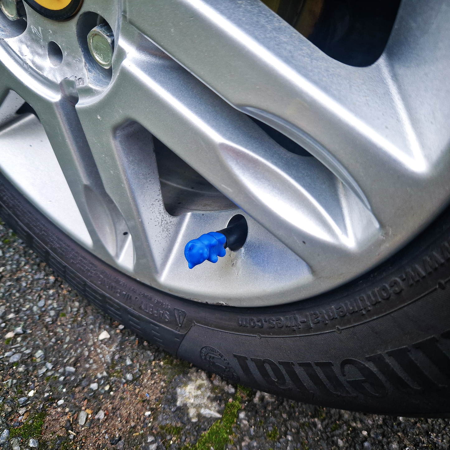 Valve Caps - Baby Bears