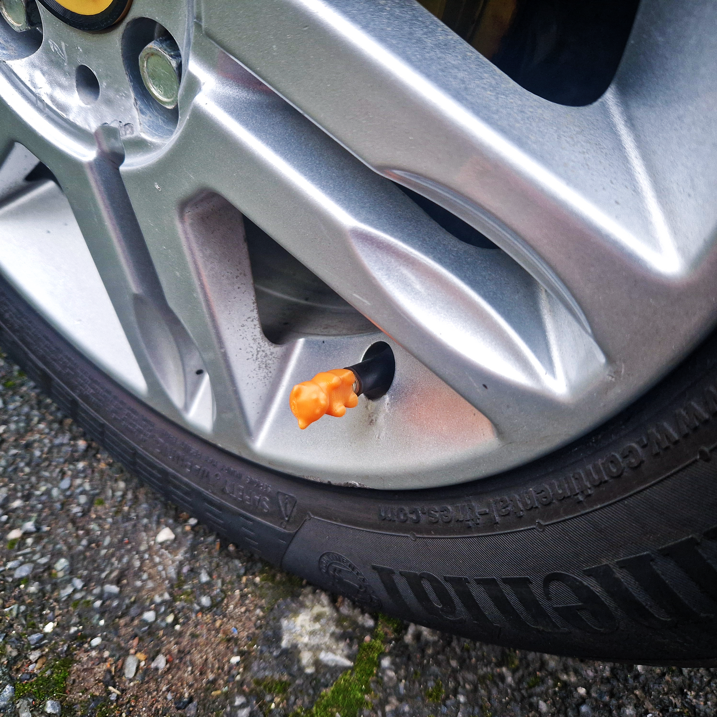 Valve Caps - Baby Bears