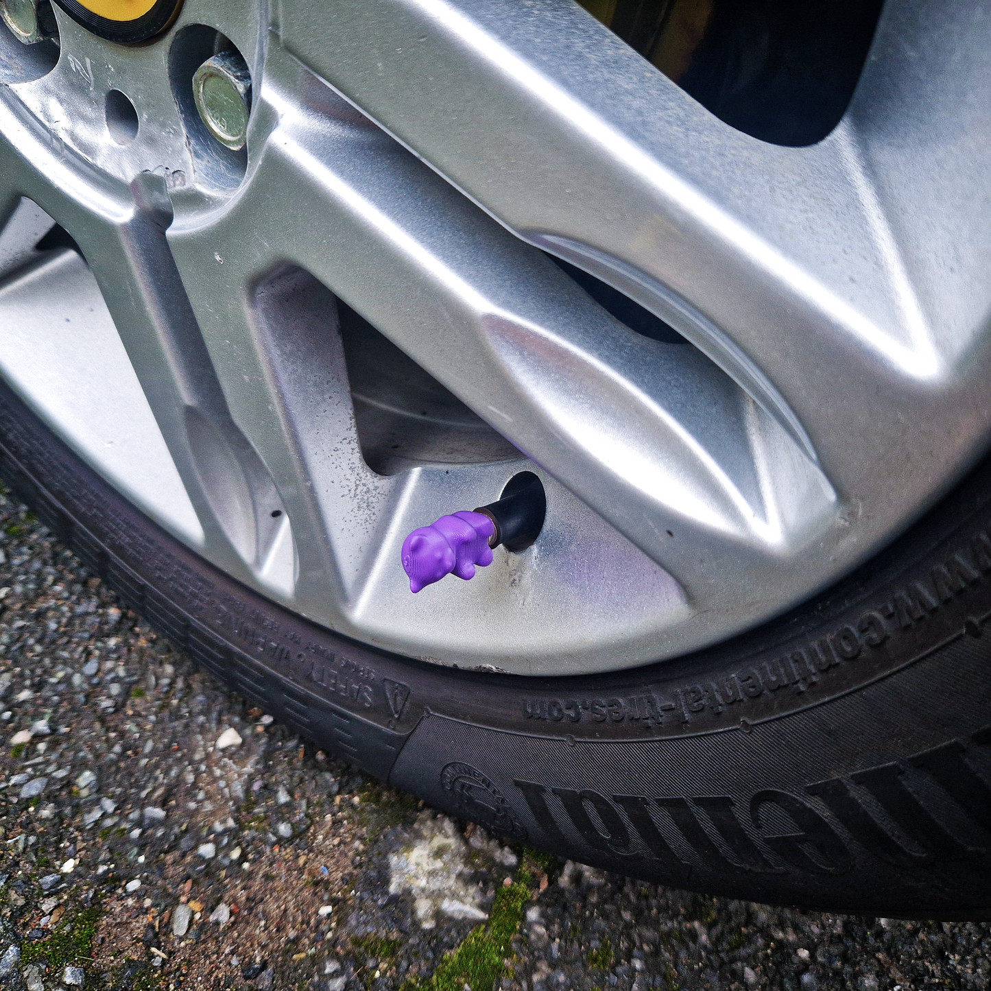 Valve Caps - Baby Bears