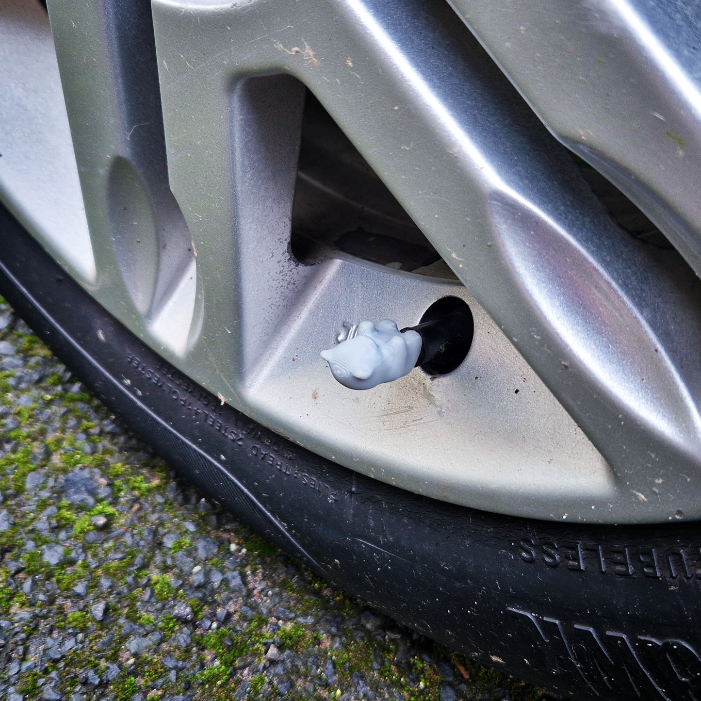 Valve Caps - Baby Bears