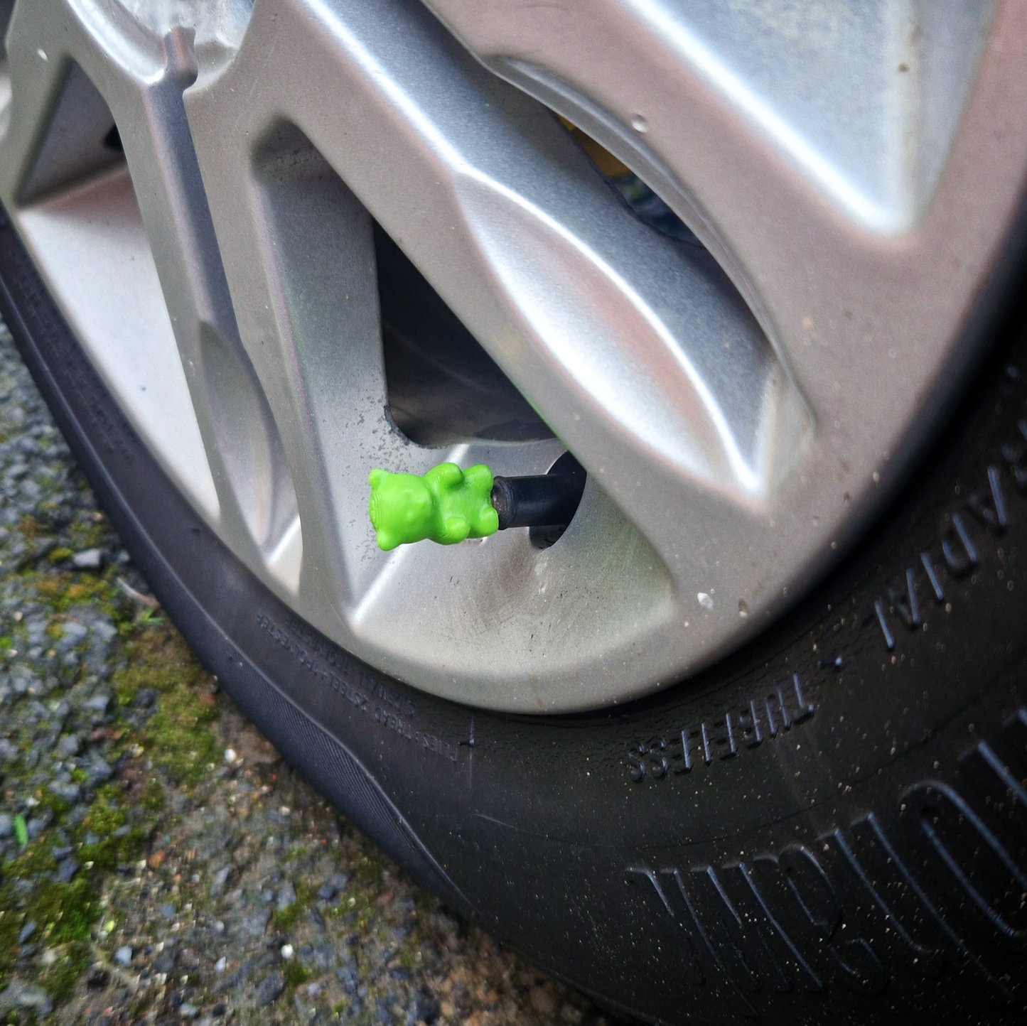 Valve Caps - Baby Bears