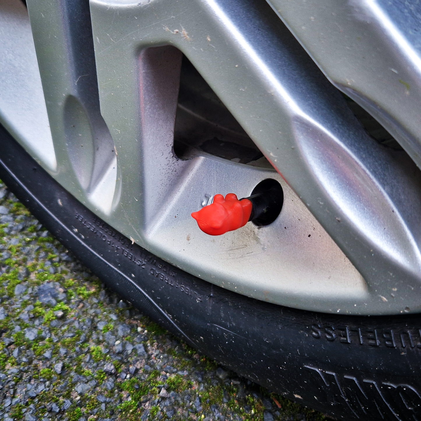 Valve Caps - Baby Bears