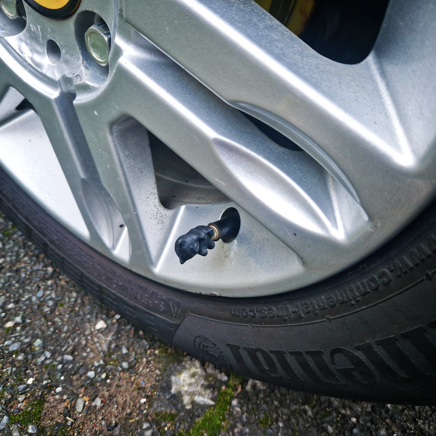 Valve Caps - Baby Bears